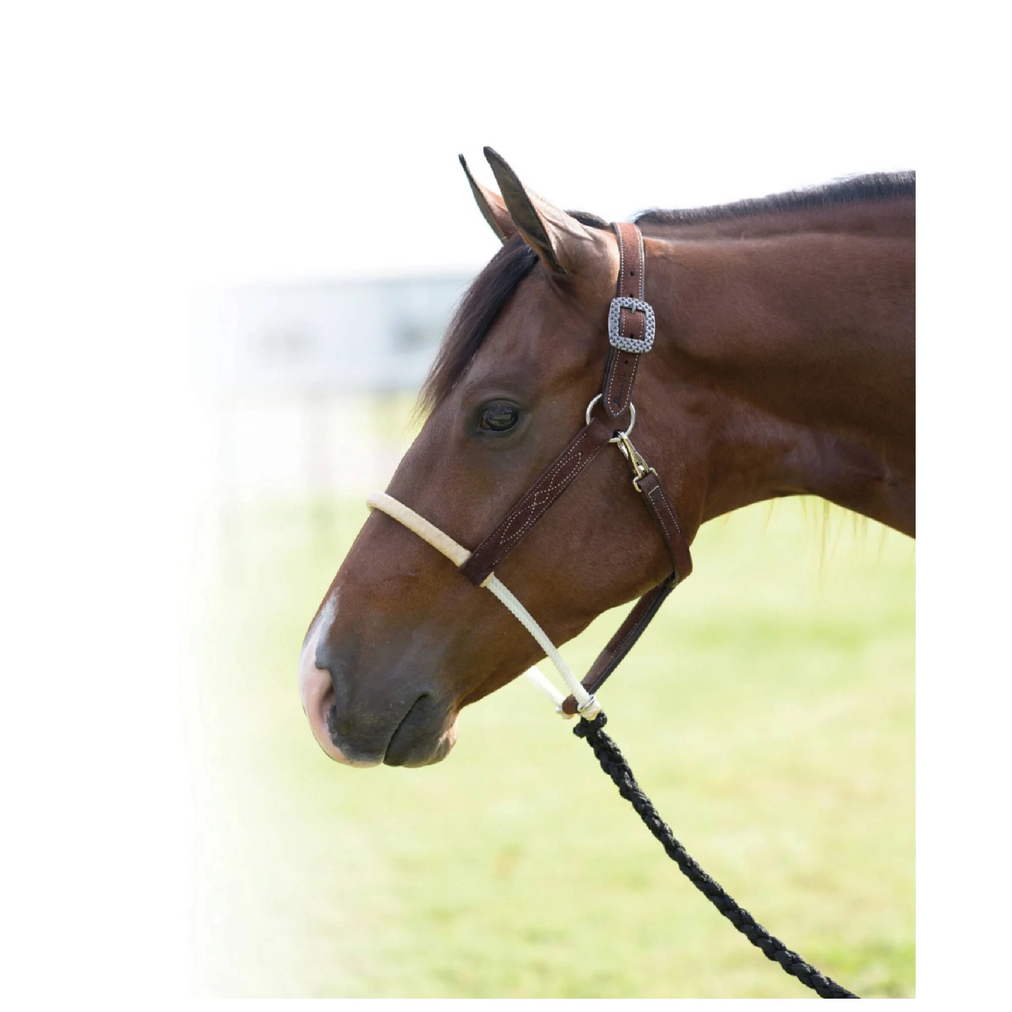 Professional's Choice Rawhide Wrapped Rope Nose Halter