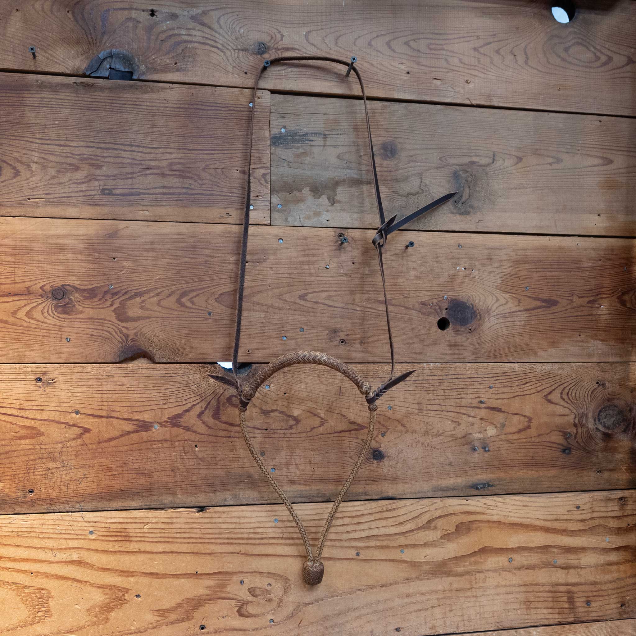 Randy Roberts Handmade Rawhide Bosal - Image 2