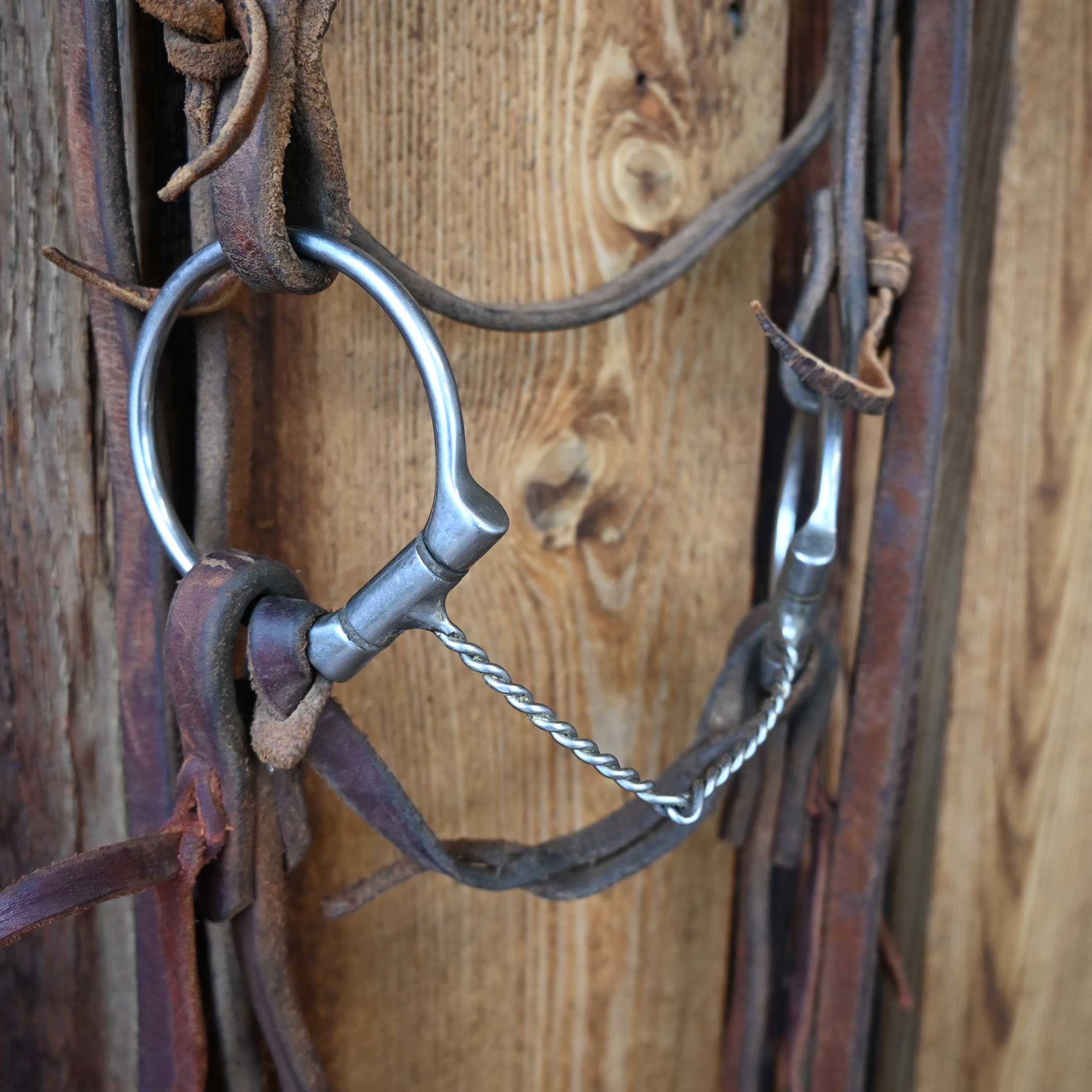 Reinsman D-Ring Twisted Wire Snaffle Bridle Rig w/Browband