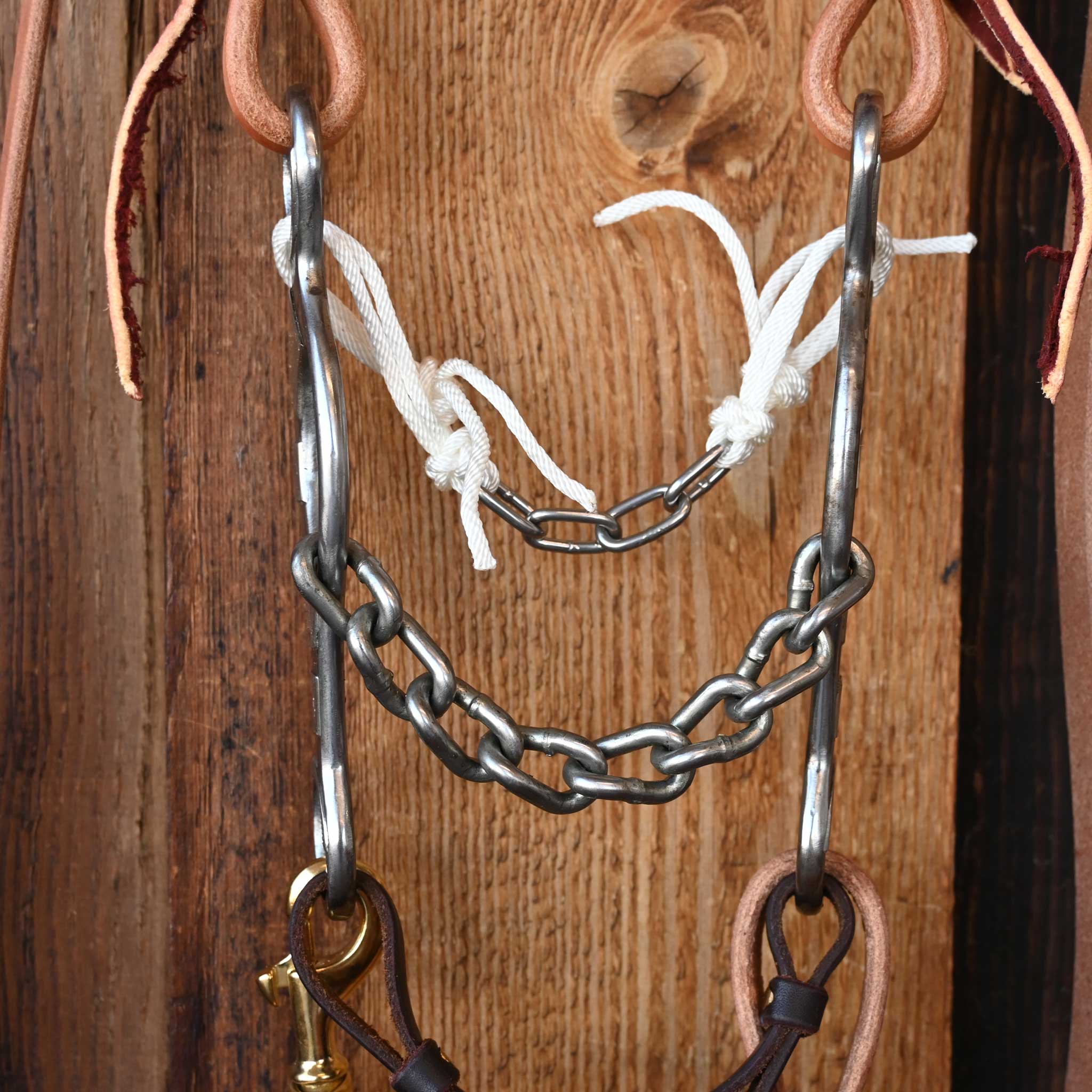 Ricky Trammell Chain Gag Bridle Rig w/Single Ear Headstall - Image 2