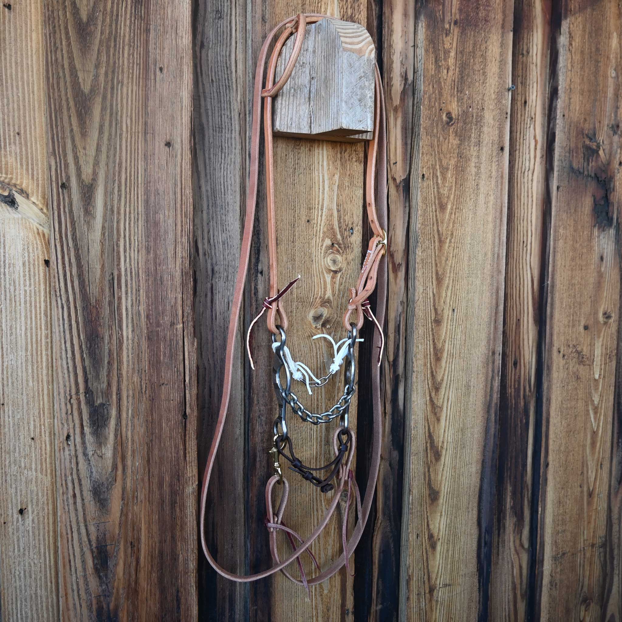 Ricky Trammell Chain Gag Bridle Rig w/Single Ear Headstall - Image 4