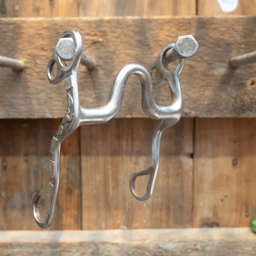 Ricky Trammell Silver Mounted Solid Port Bit