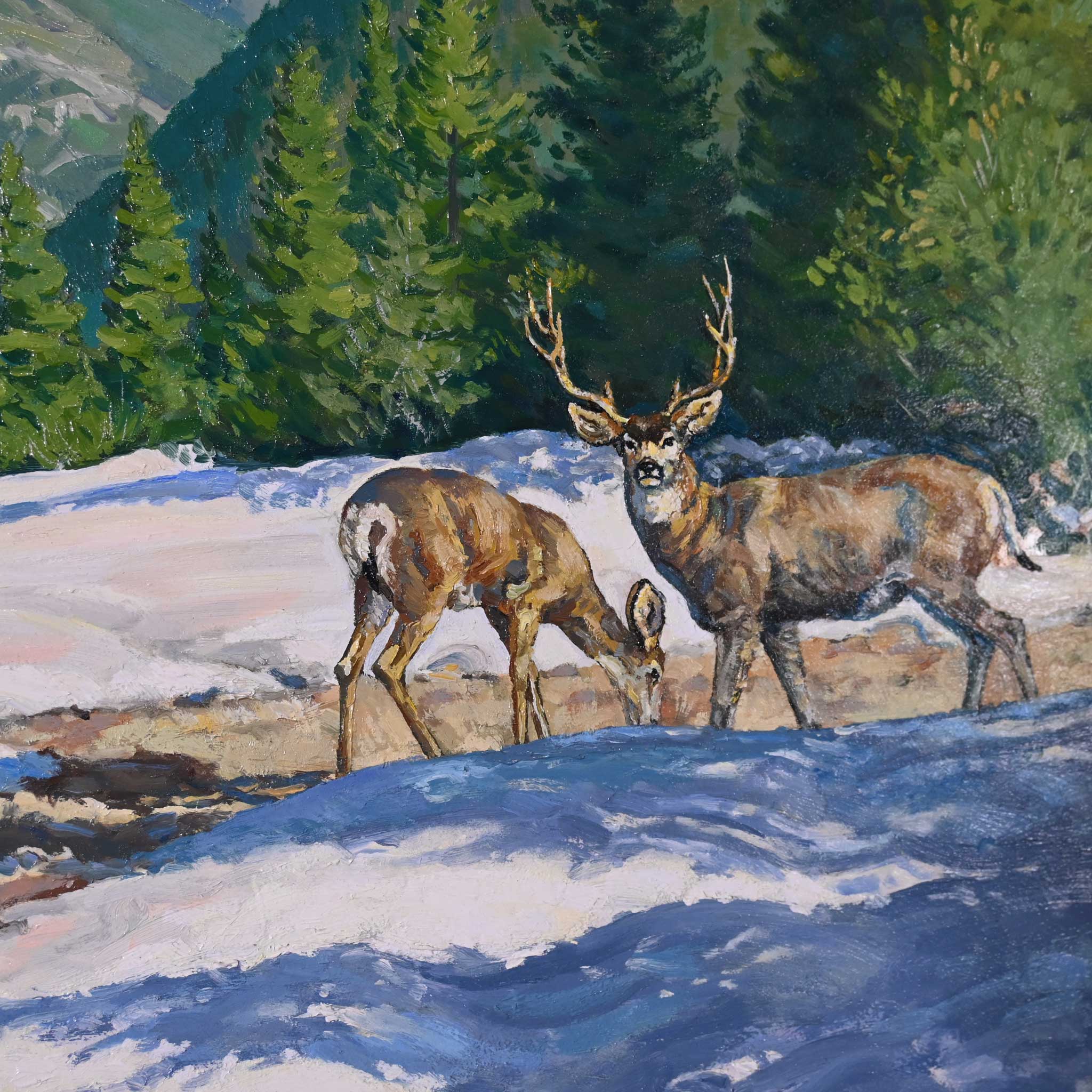 Rocky Mountain Mule Deer by Wayne Wolfe - Image 4