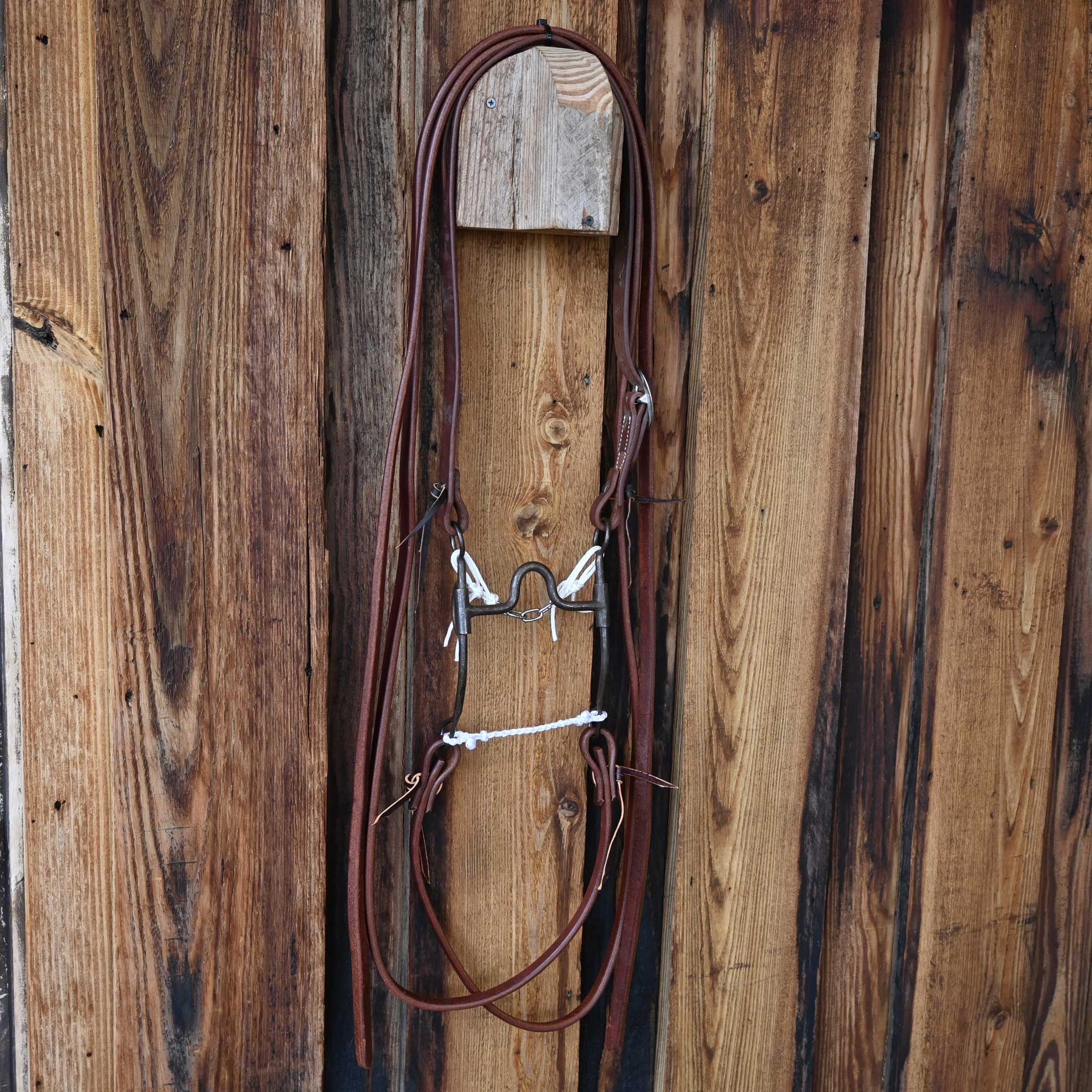 Rod Teuscher Solid Port Bridle Rig w/Split Ear Headstall - Image 4
