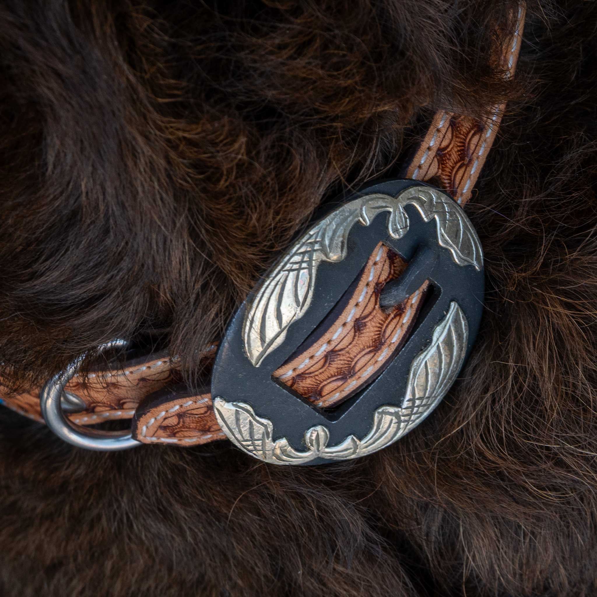 Basket Weave Collar With Turquoise Buckstitch - Image 5