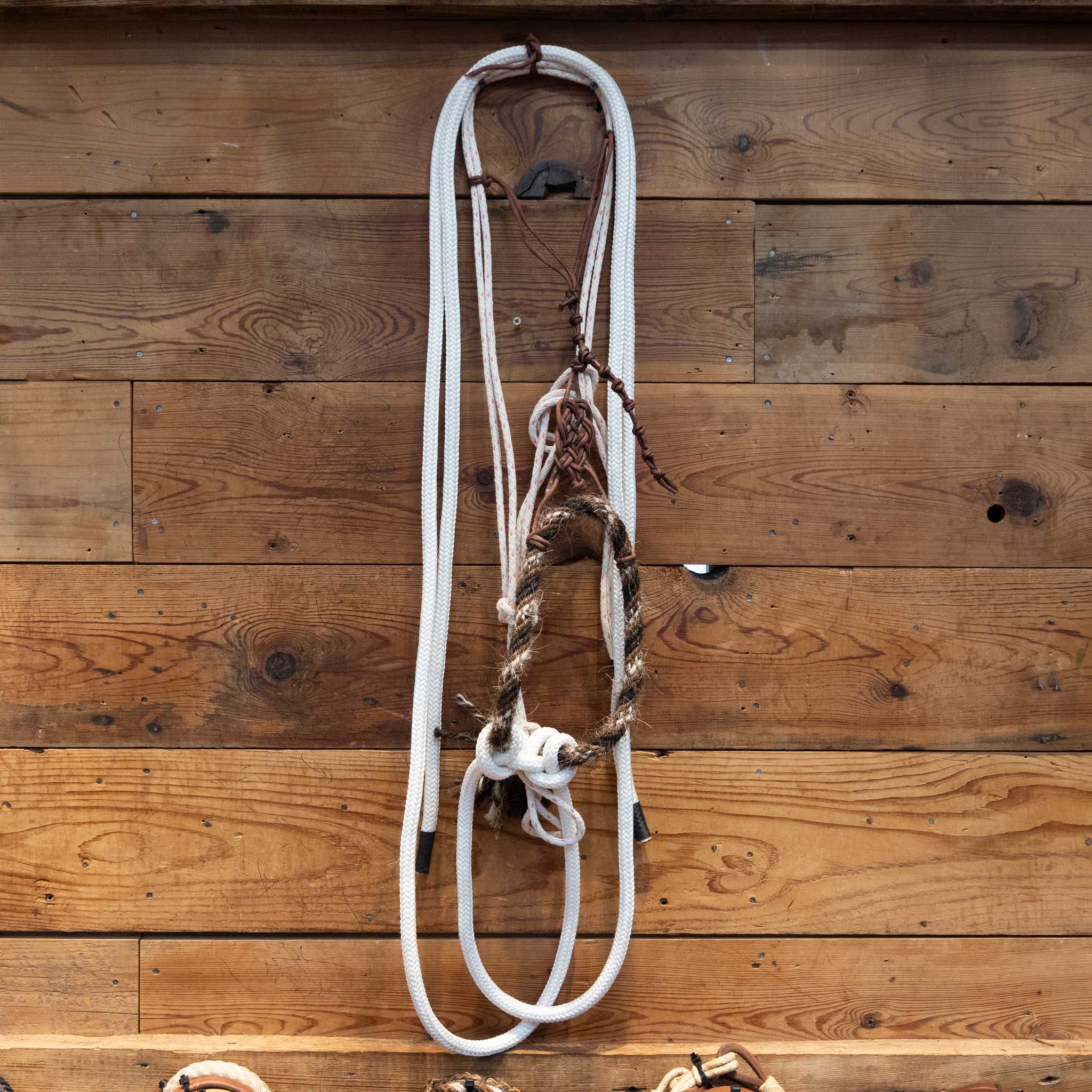 Sam Hall Loping Hack w/ Crowsfoot Headstall - Image 2