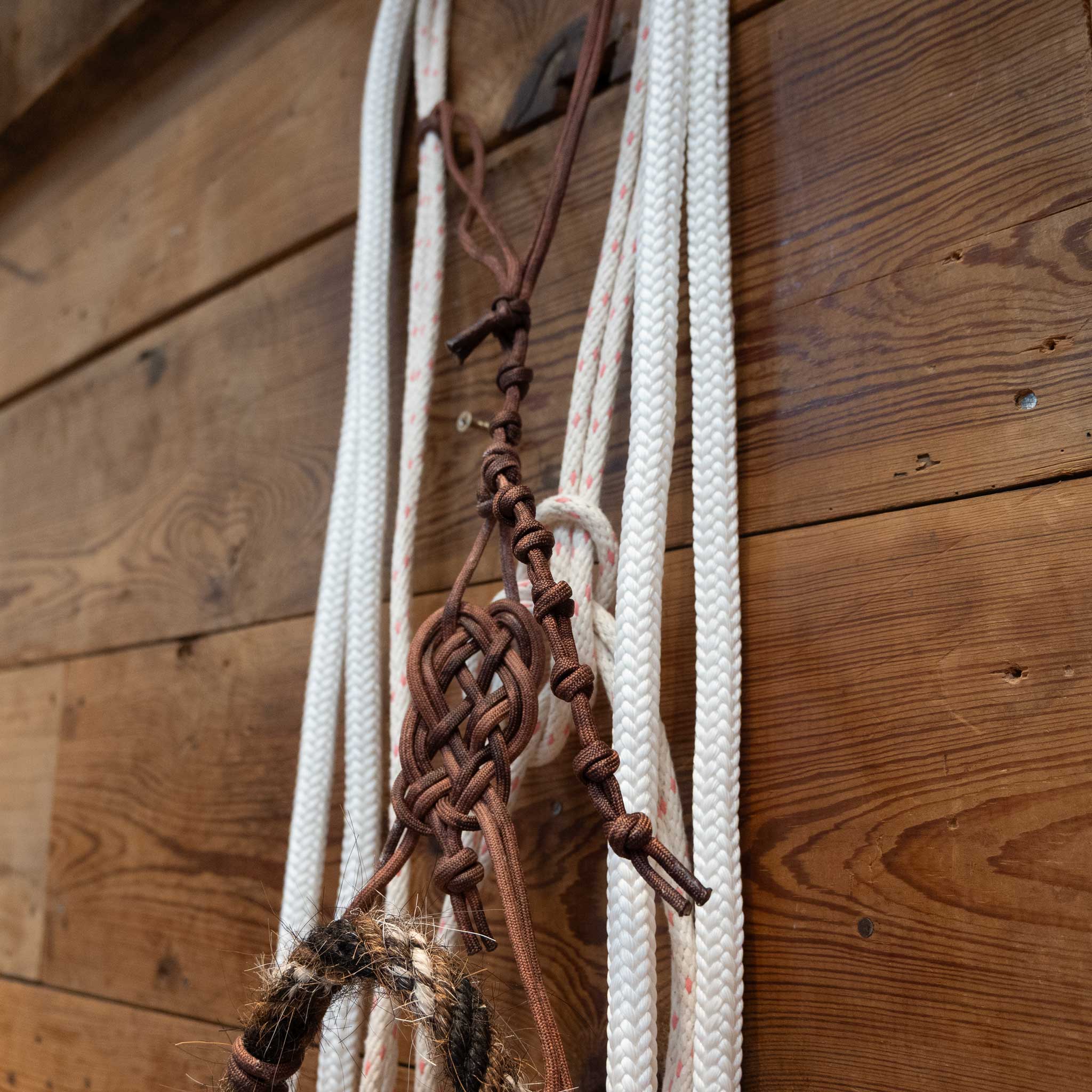 Sam Hall Loping Hack w/ Crowsfoot Headstall - Image 3