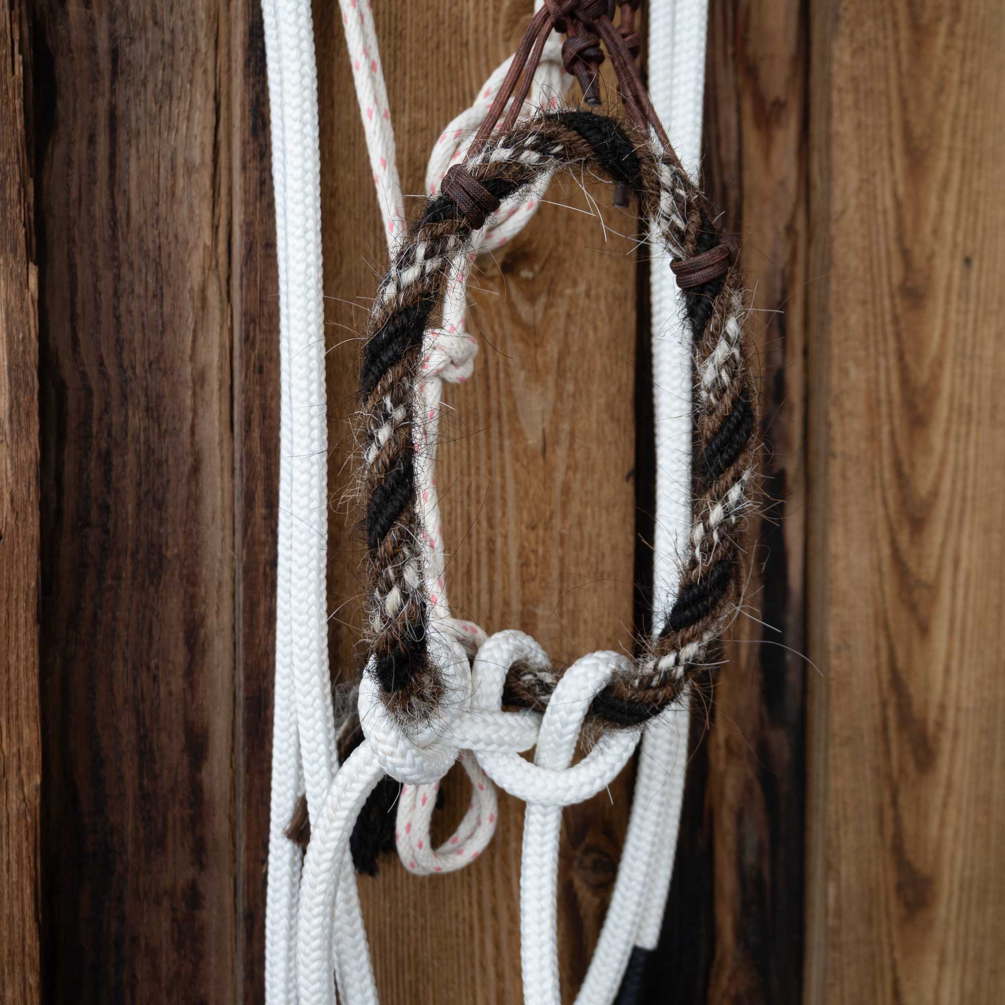 Sam Hall Hackamore w/Crowsfoot Headstall - Image 2