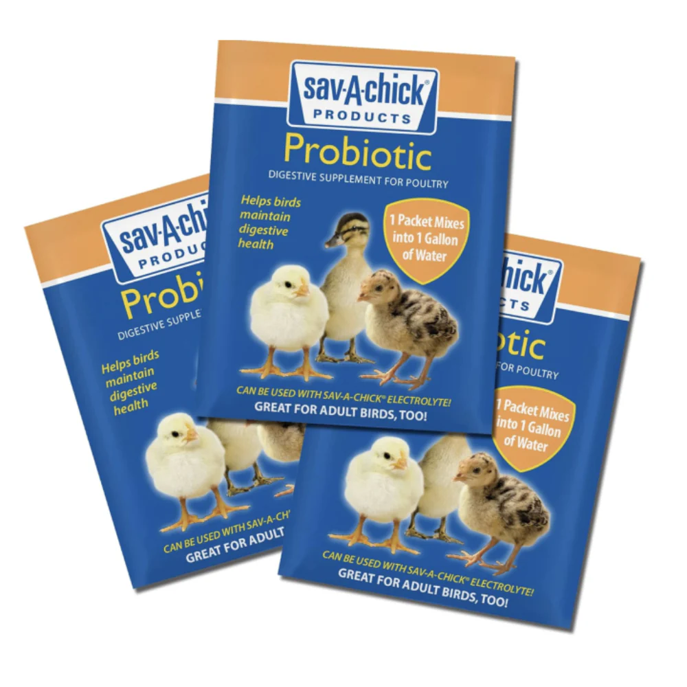 Sav-a-Chick Probiotic Supplement 3-Pack