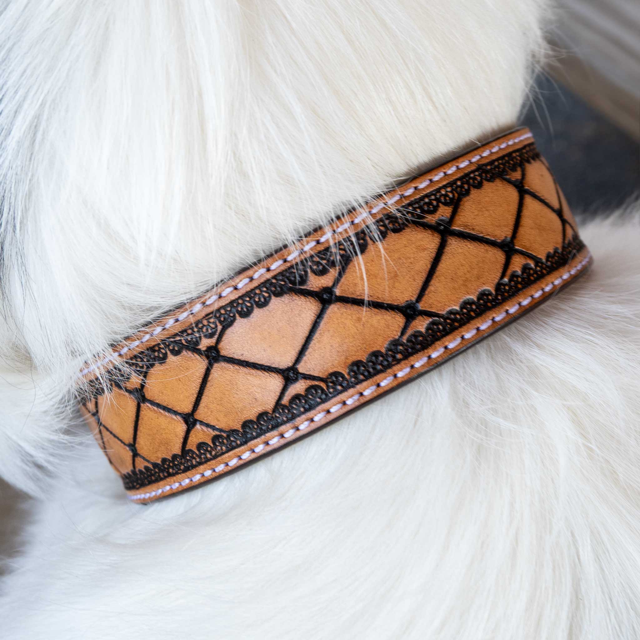 Quilted Leather Dog Collar With Engraved buckle - Image 4