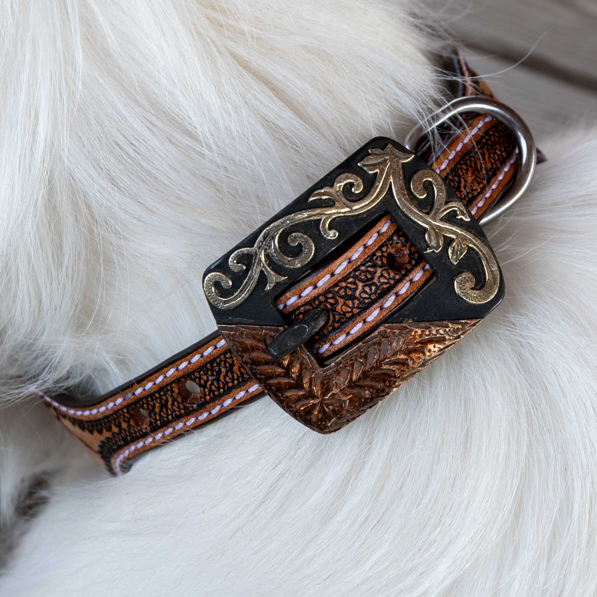 Quilted Leather Dog Collar With Engraved buckle - Image 5