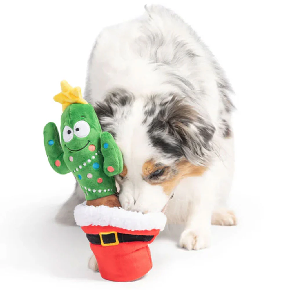 Seek 'n Treat Prickly & Bright Pawt Dog Toy - Image 2