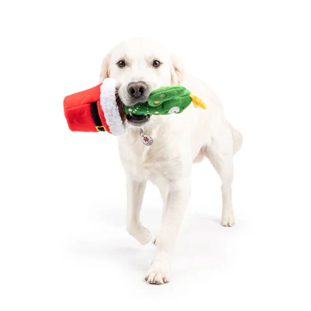 Seek 'n Treat Prickly & Bright Pawt Dog Toy - Image 3