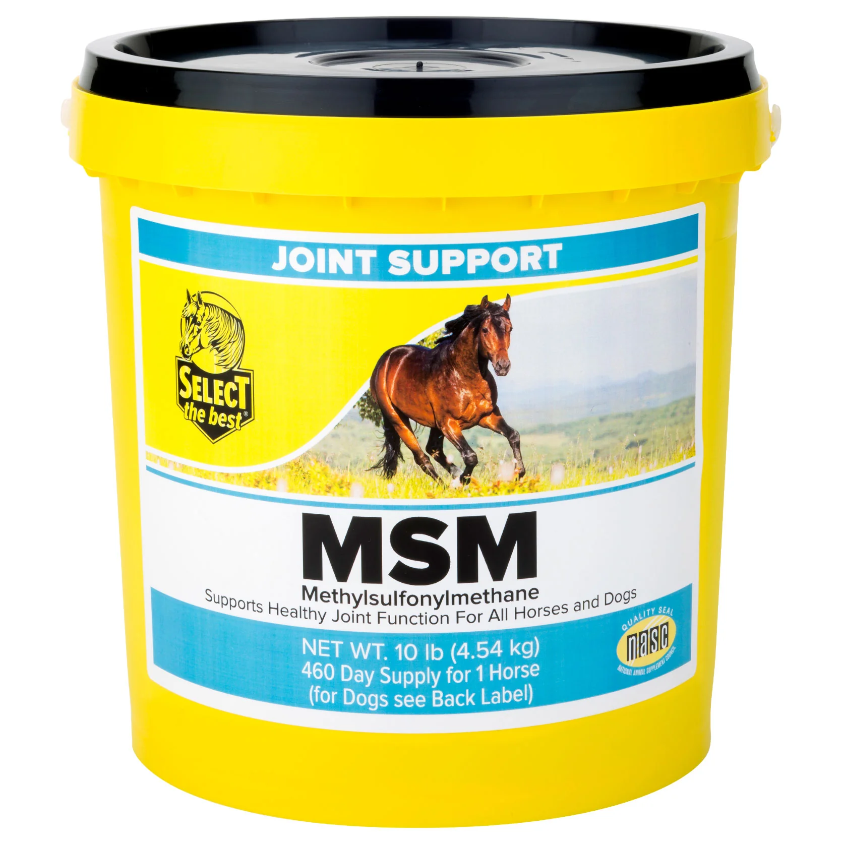 Select The Best MSM - Image 3