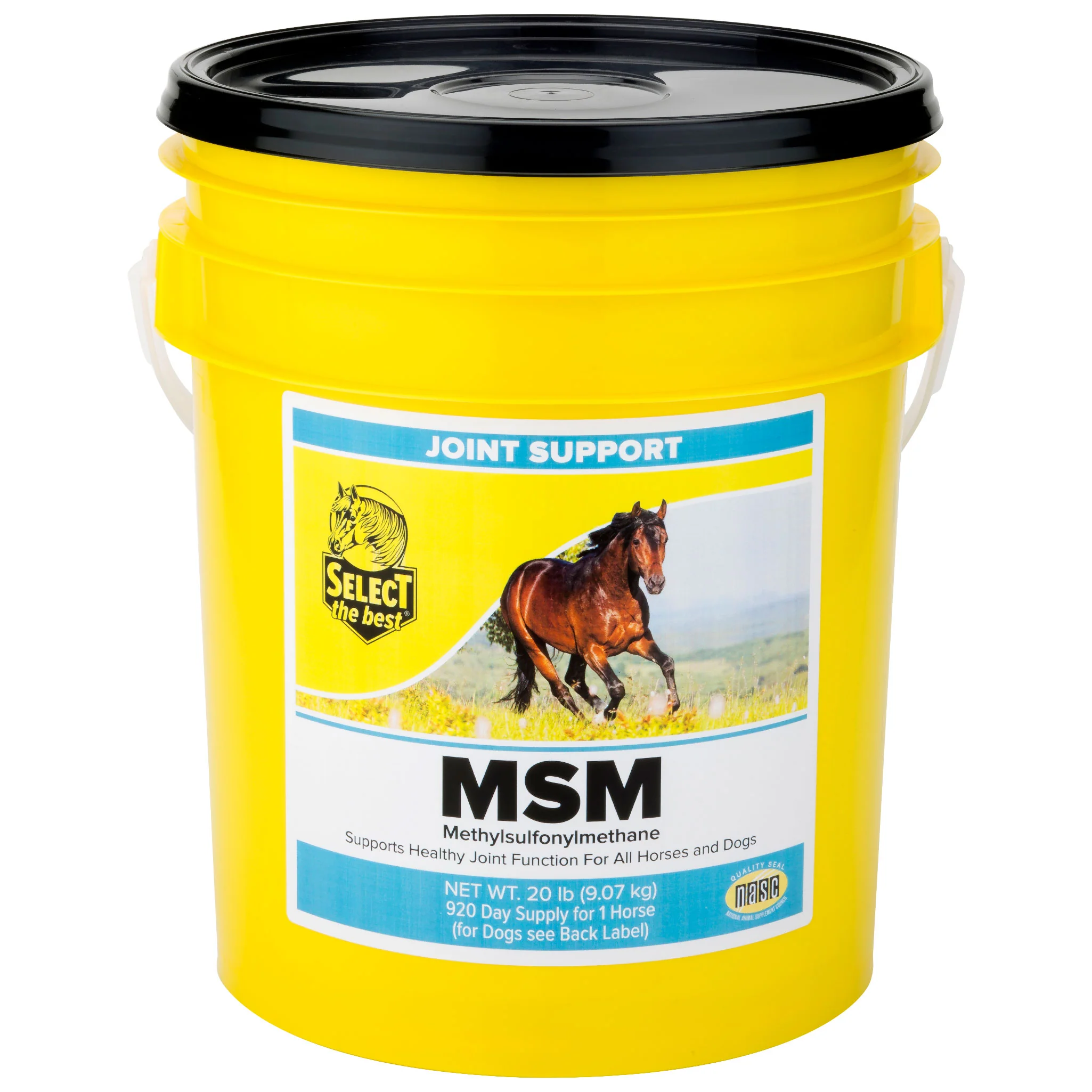 Select The Best MSM - Image 4