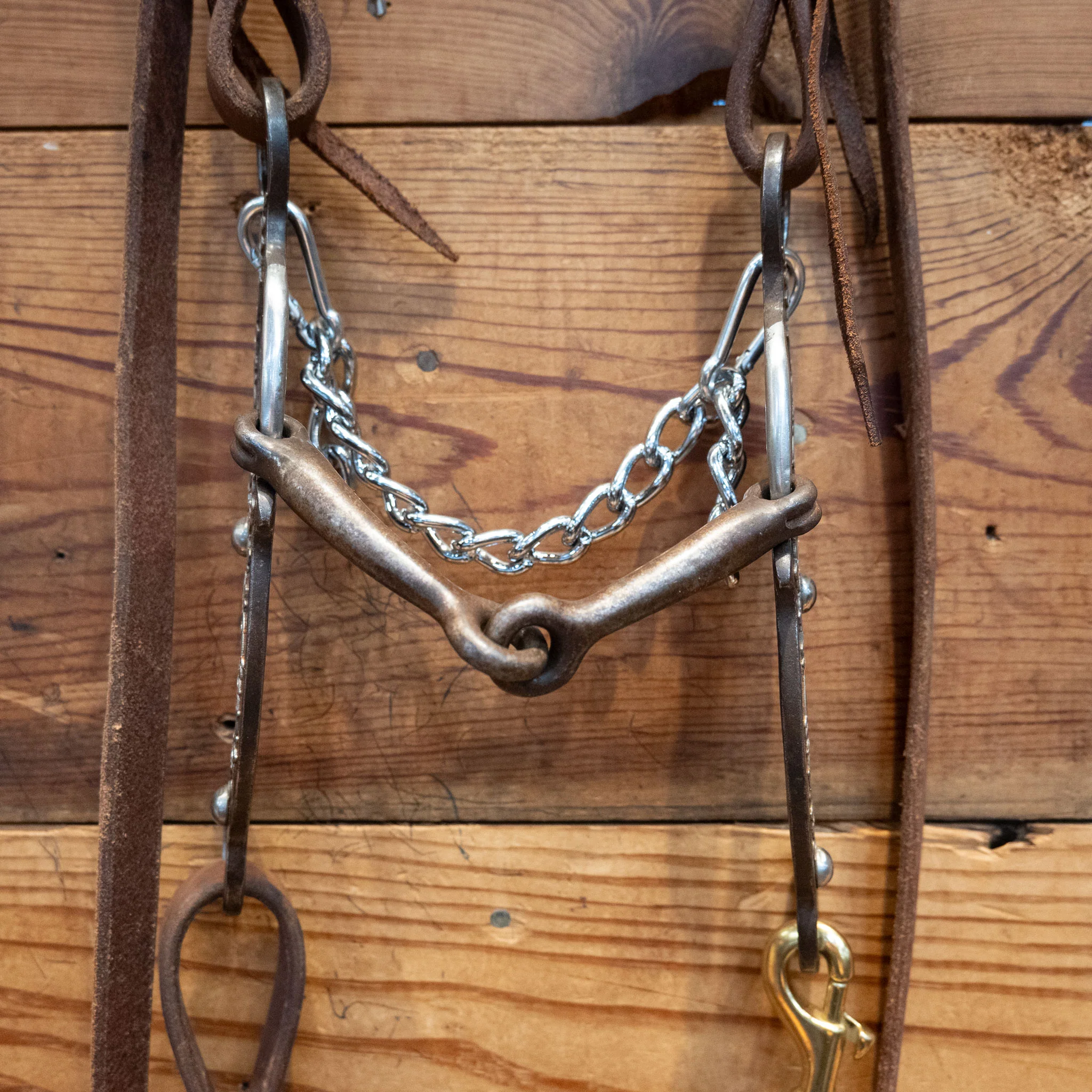 Smooth Snaffle Gag Bridle Rig - Image 2