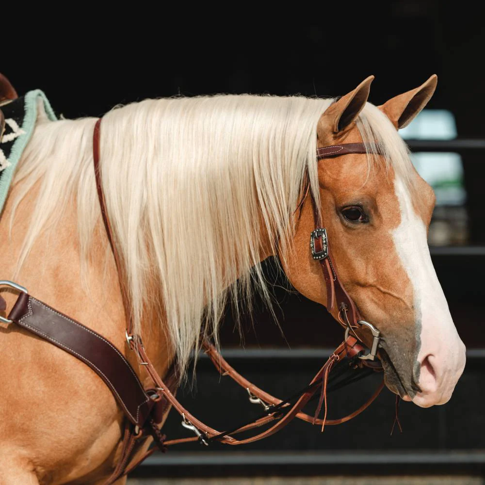 Professional's Choice Single Rein German Martingale