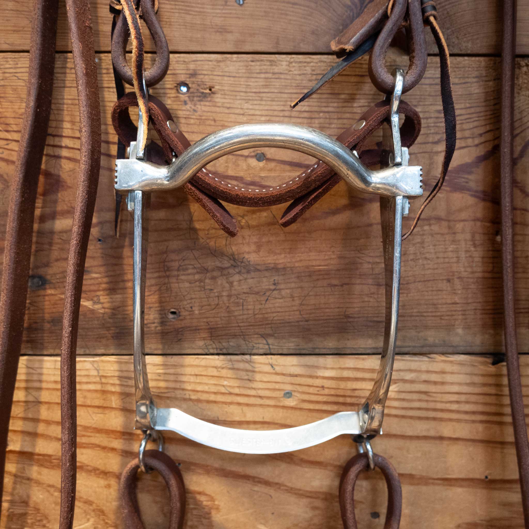 Sleister Port Bit Bridle Rig - Image 2