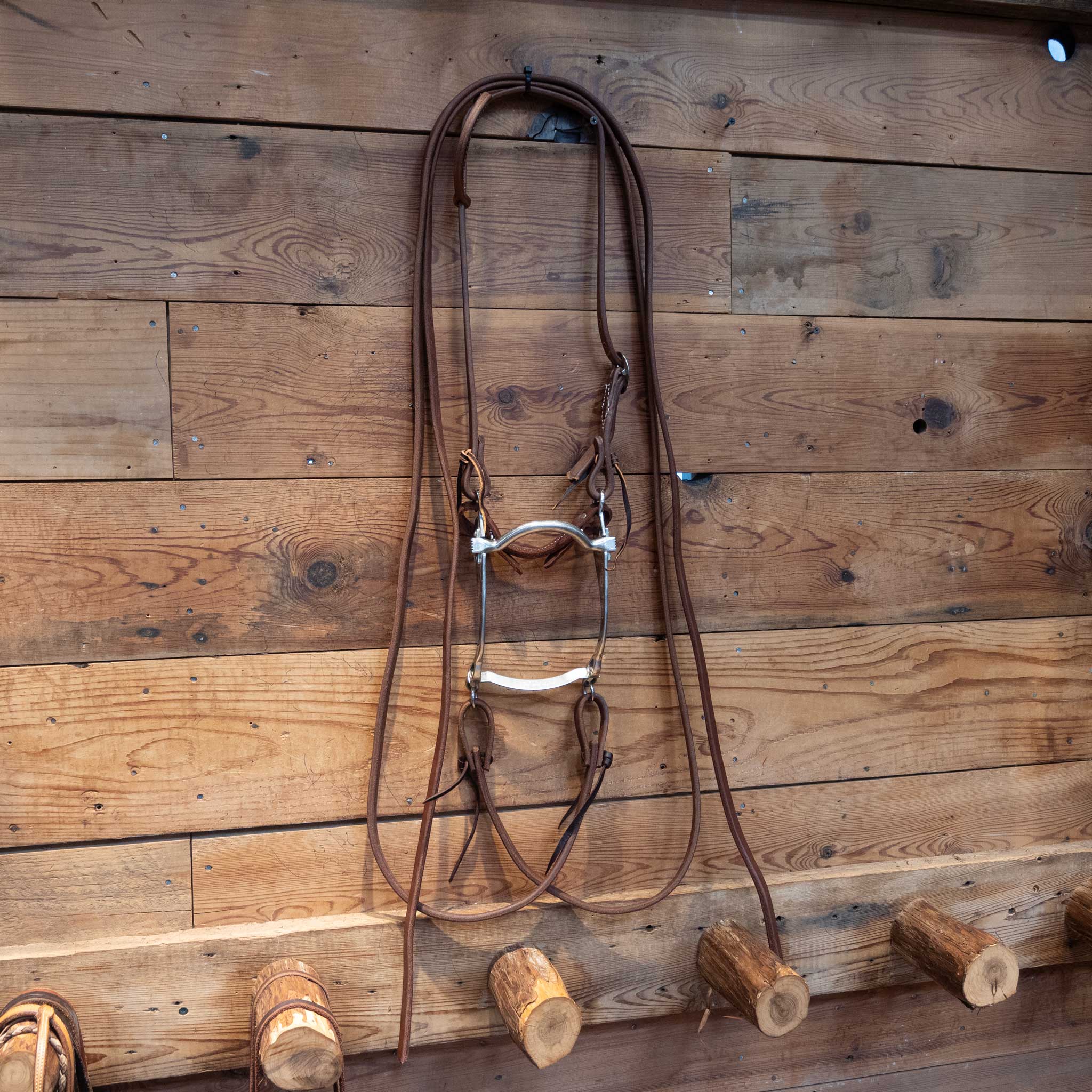 Sleister Port Bit Bridle Rig - Image 4