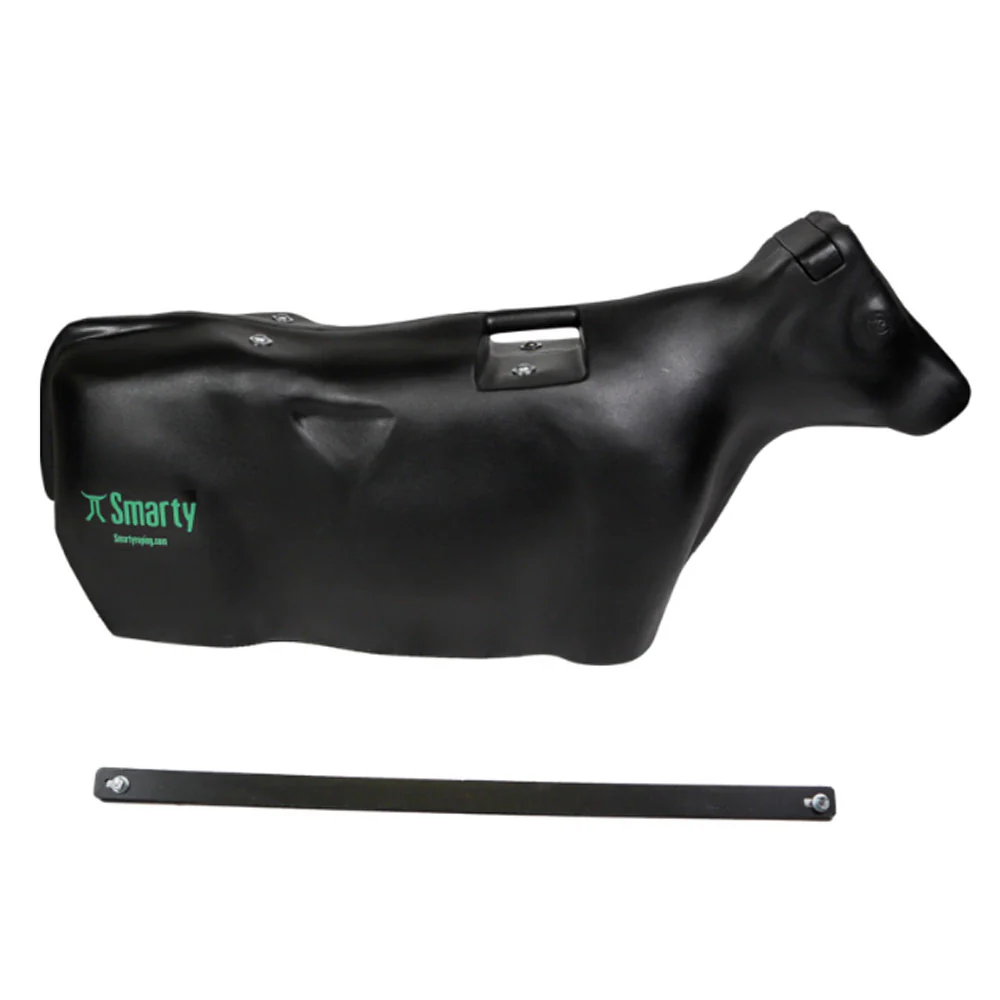 Smarty Conversion Kit
