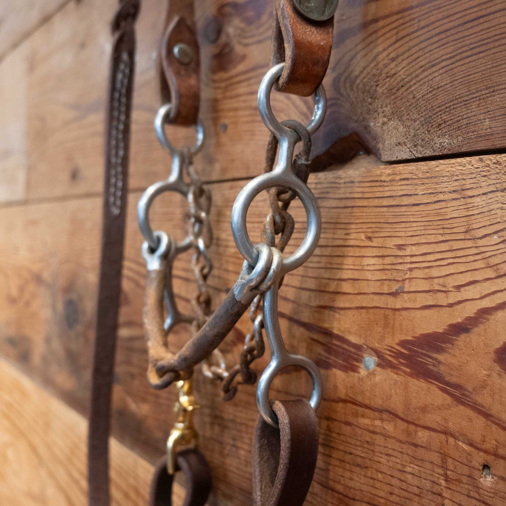 Shanked Snaffle Gag Bridle Rig - Image 2