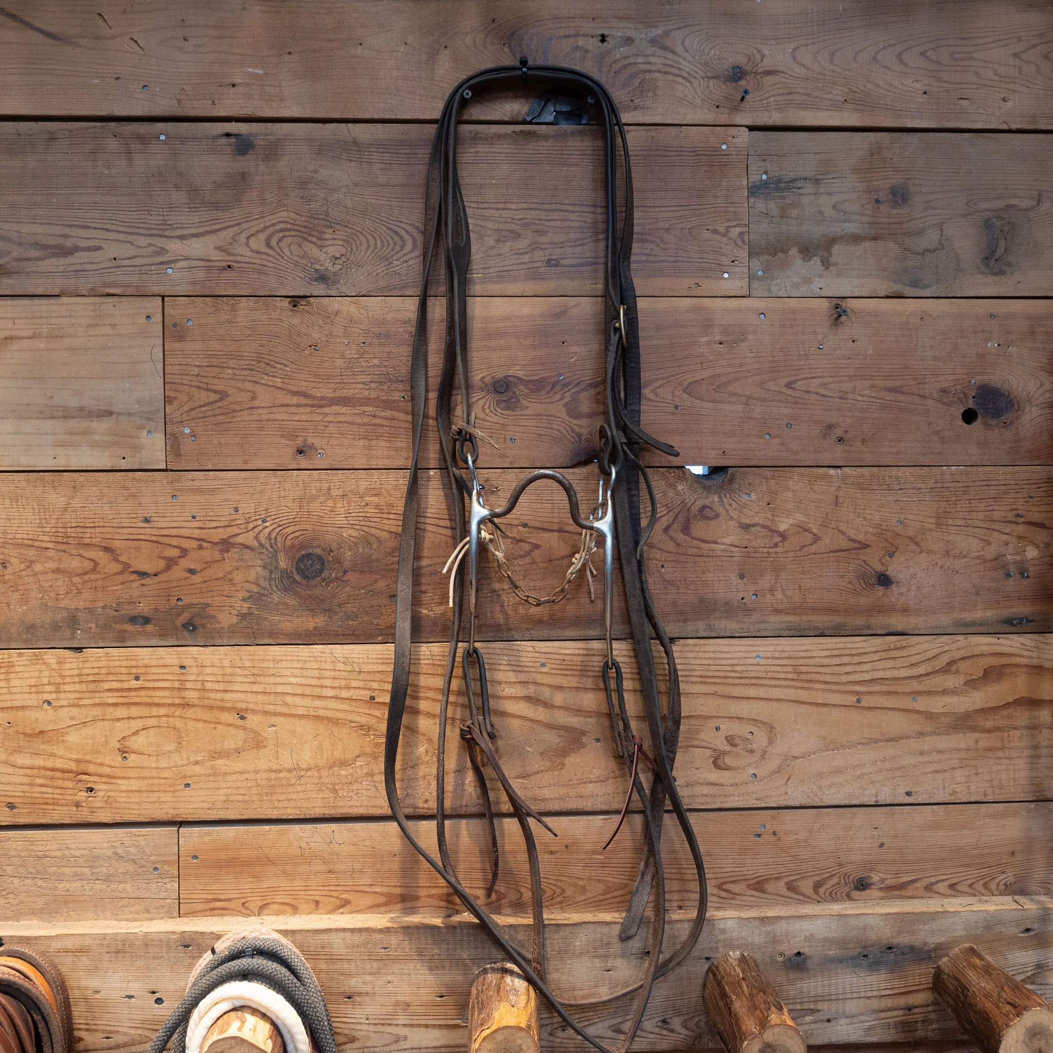 Solid Port Bit Bridle Rig - Image 2