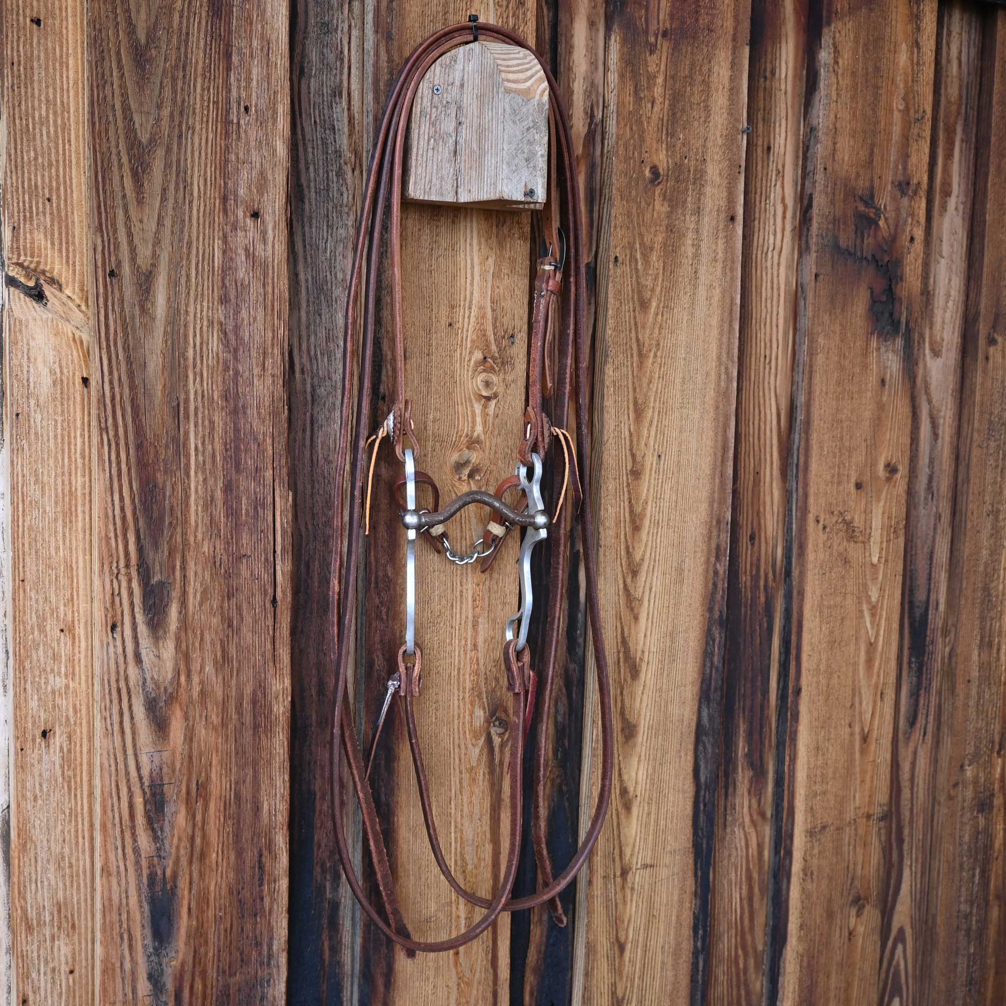 Solid Port Bridle Rig w/Split Ear Headstall - Image 5