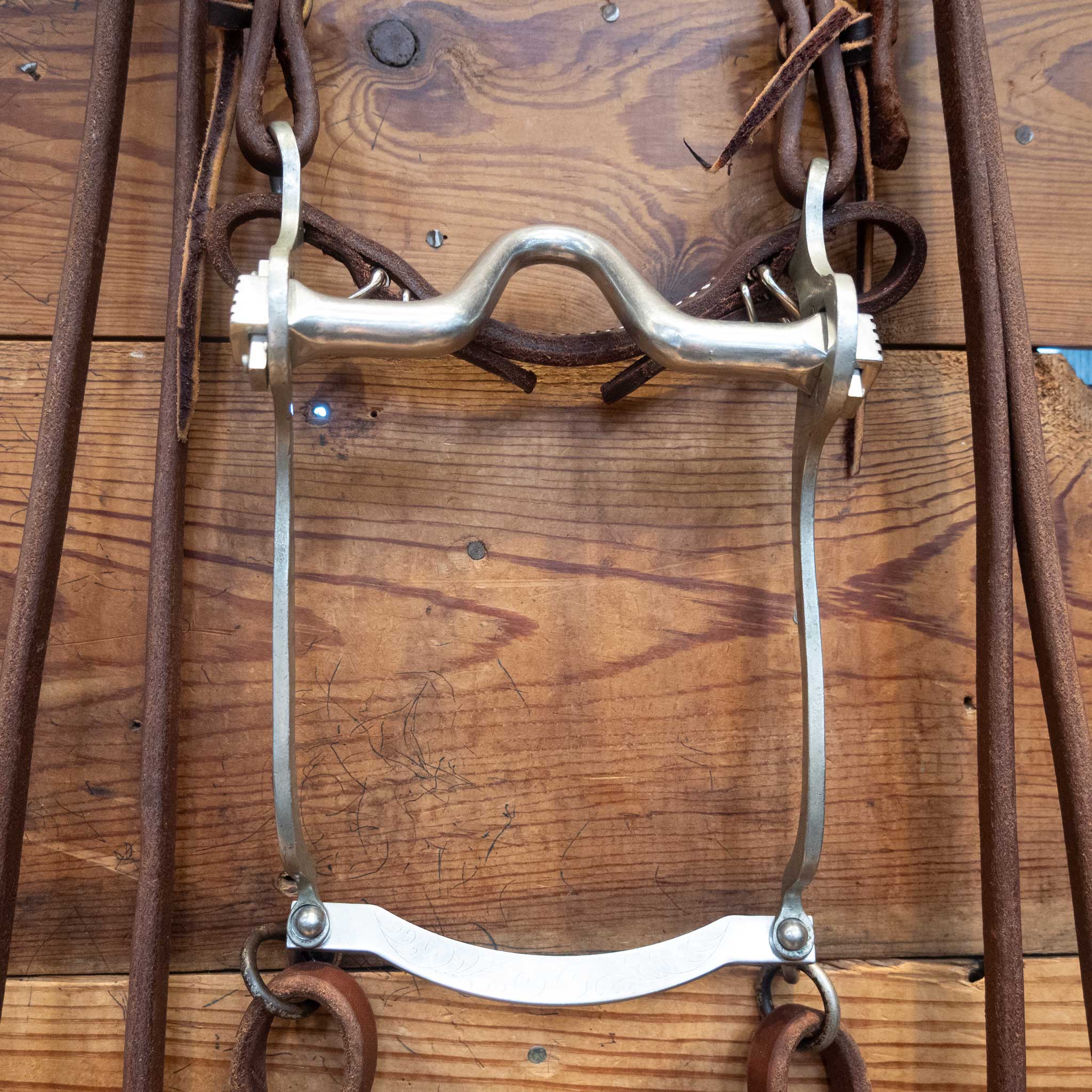 Solid Port Bridle Rig w/Split Reins - Image 2