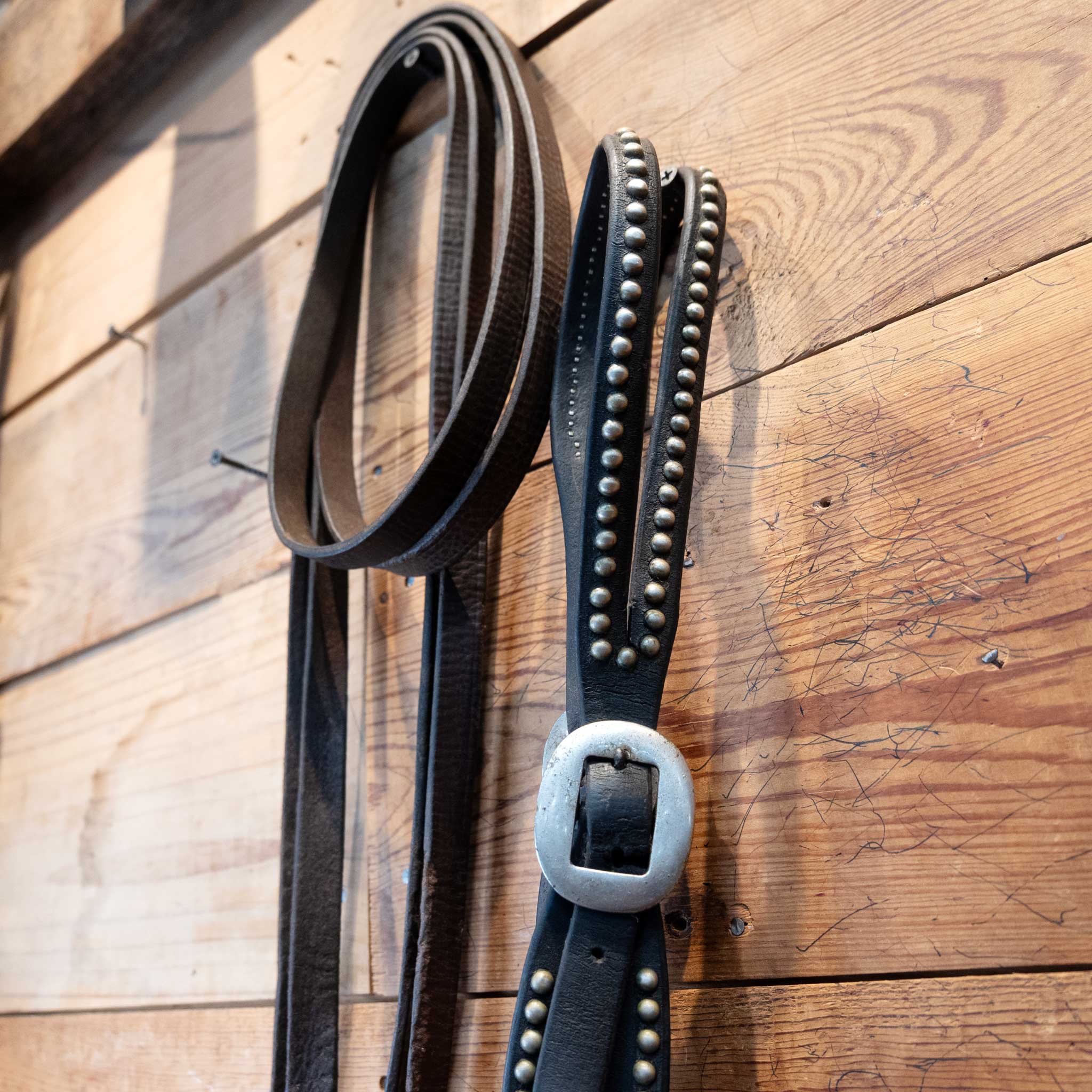 Vintage Silver Dotted Solid Port Bridle Set - Image 2