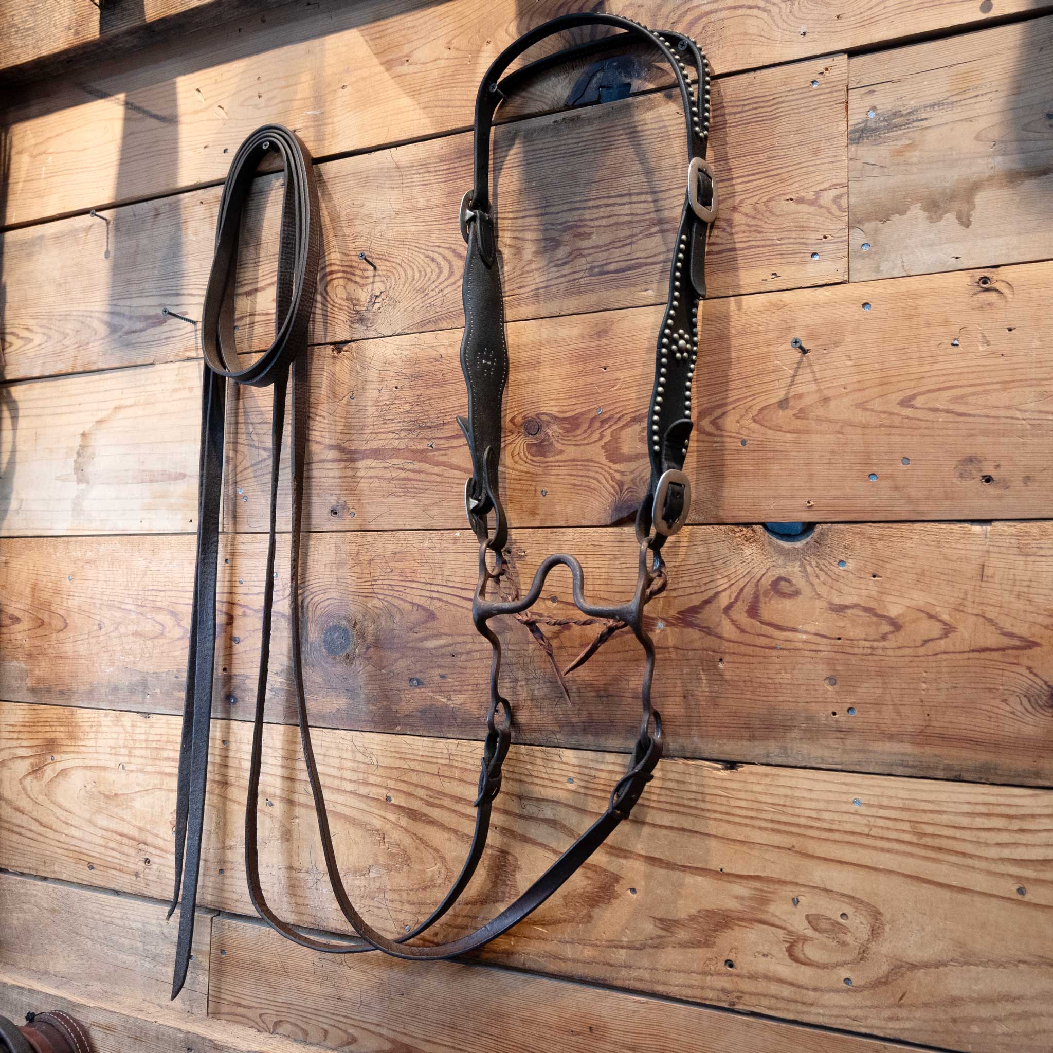 Vintage Silver Dotted Solid Port Bridle Set - Image 4