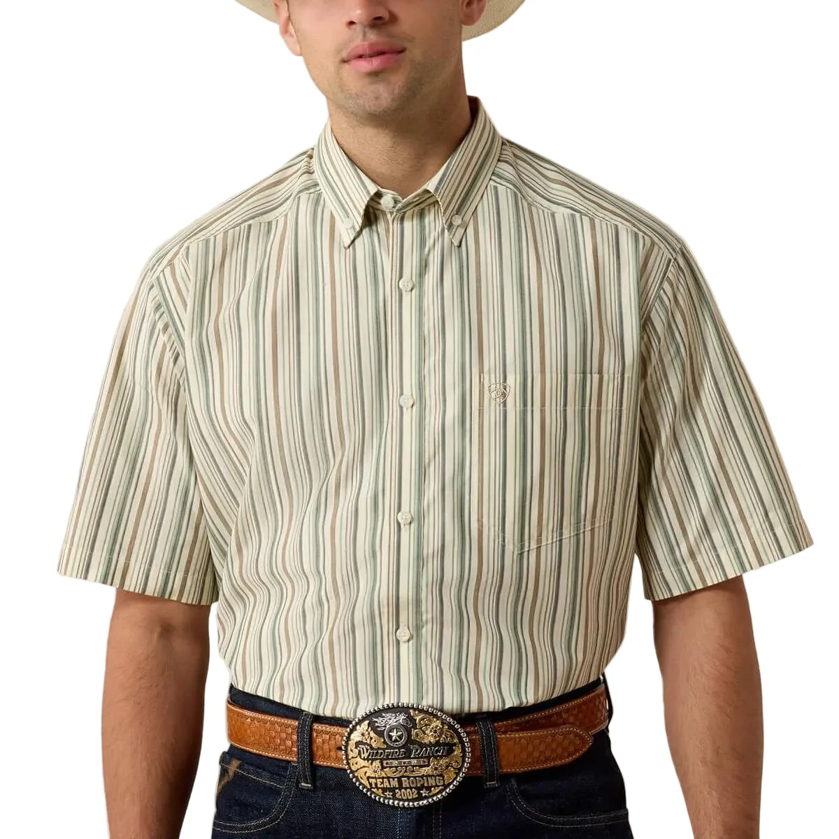 Ariat Men's Pro Stevie Classic Fit Stripe Button Down Shirt