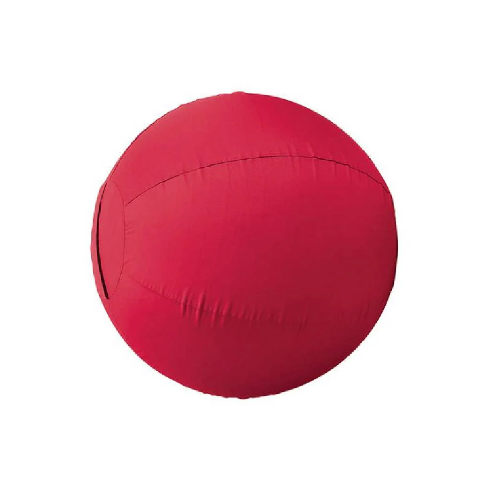 Stacy Westfall Large Activity Ball Cover