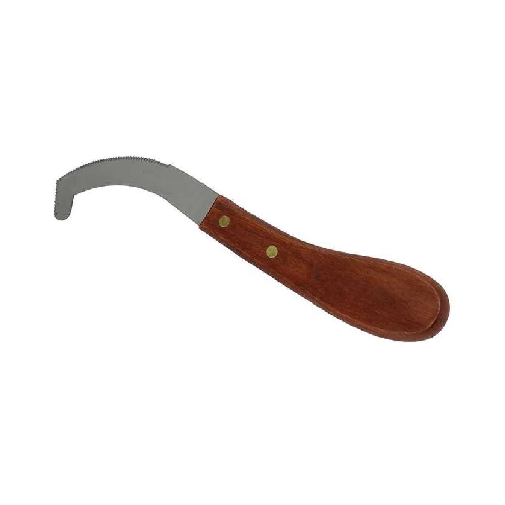 Partrade Stainless Steel Bot Egg Scraper