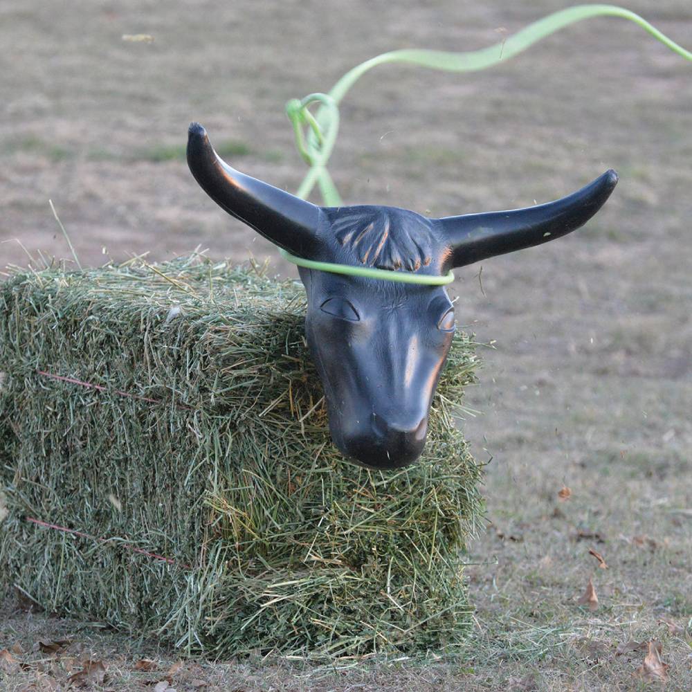 Rattler Steer Head - Image 2