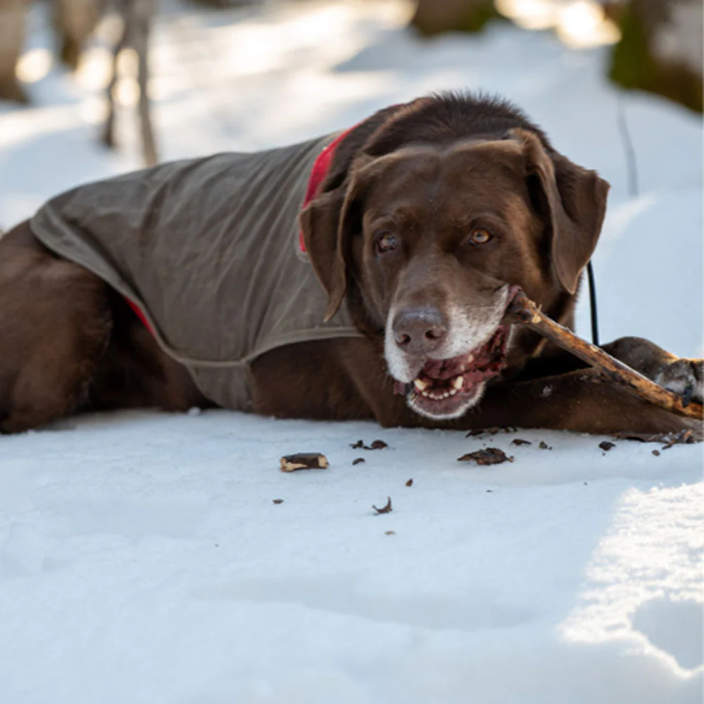Stormy Kromer Waxed Cotton Dog Jacket - Image 3
