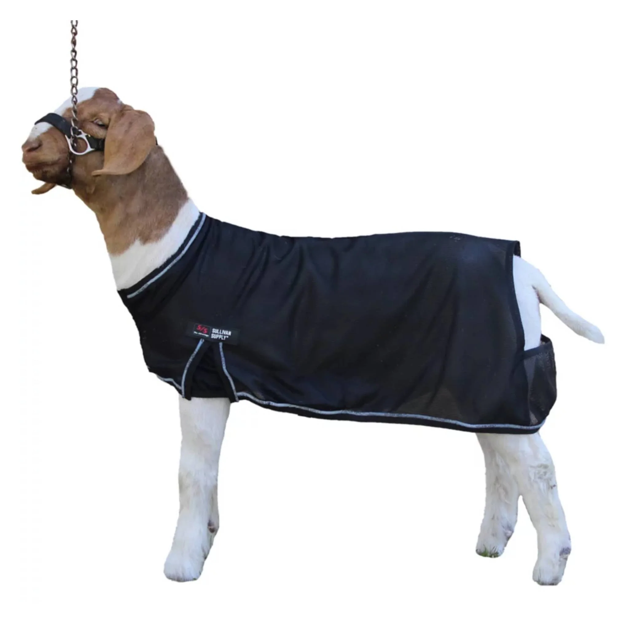 Sullivan's Cool Tech Goat Blanket - Image 3