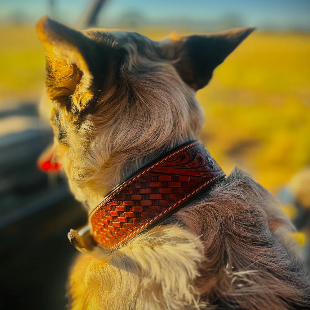 Teskey's Basketweave & Floral Tooled Dog Collar - Image 2