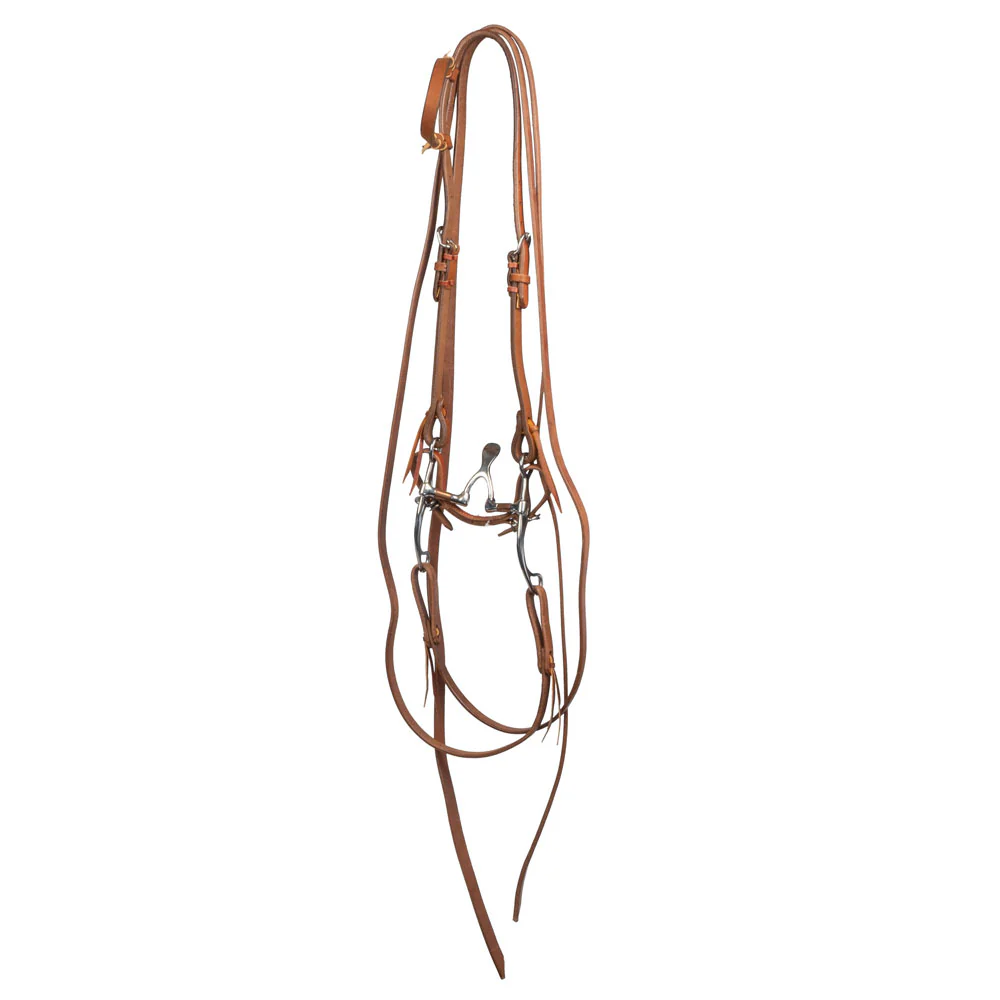 Teskey's Cathedral Correction Bridle Rig