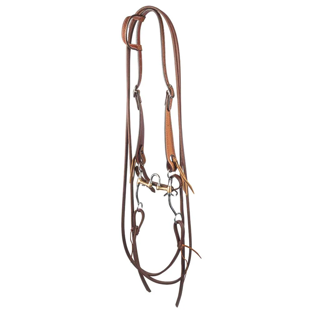 Teskey's Correction Bit Bridle Rig - Image 2