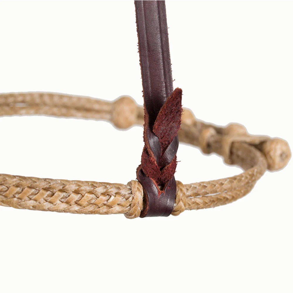 Teskey's Double Braided Rawhide Cavesson - Image 3
