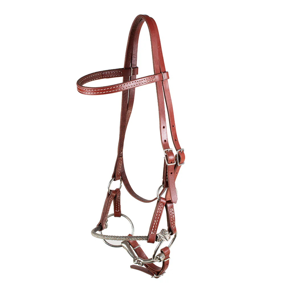 Teskey's Lariat Noseband Combination Headstall - Image 2