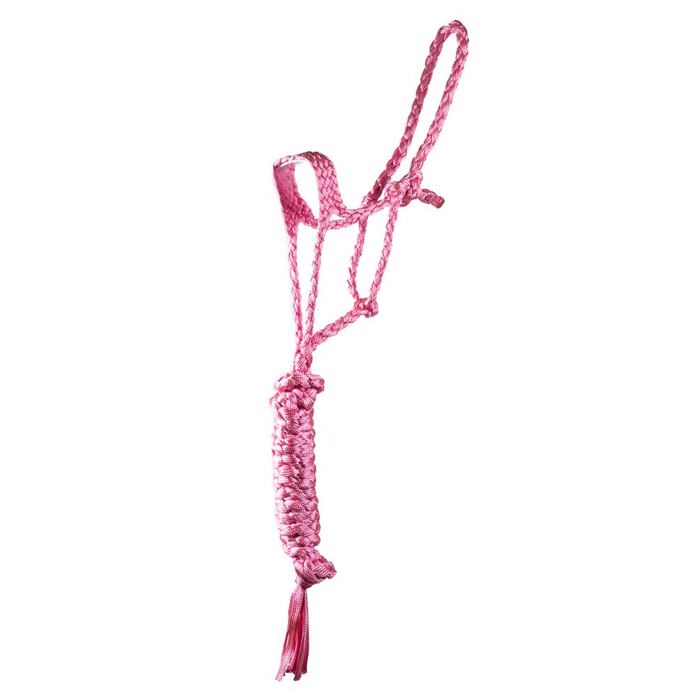 Teskey's Pony Mule Tape Halter with Lead - Image 5