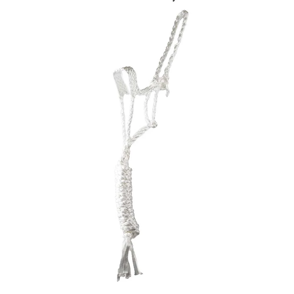 Teskey's Pony Mule Tape Halter with Lead - Image 6