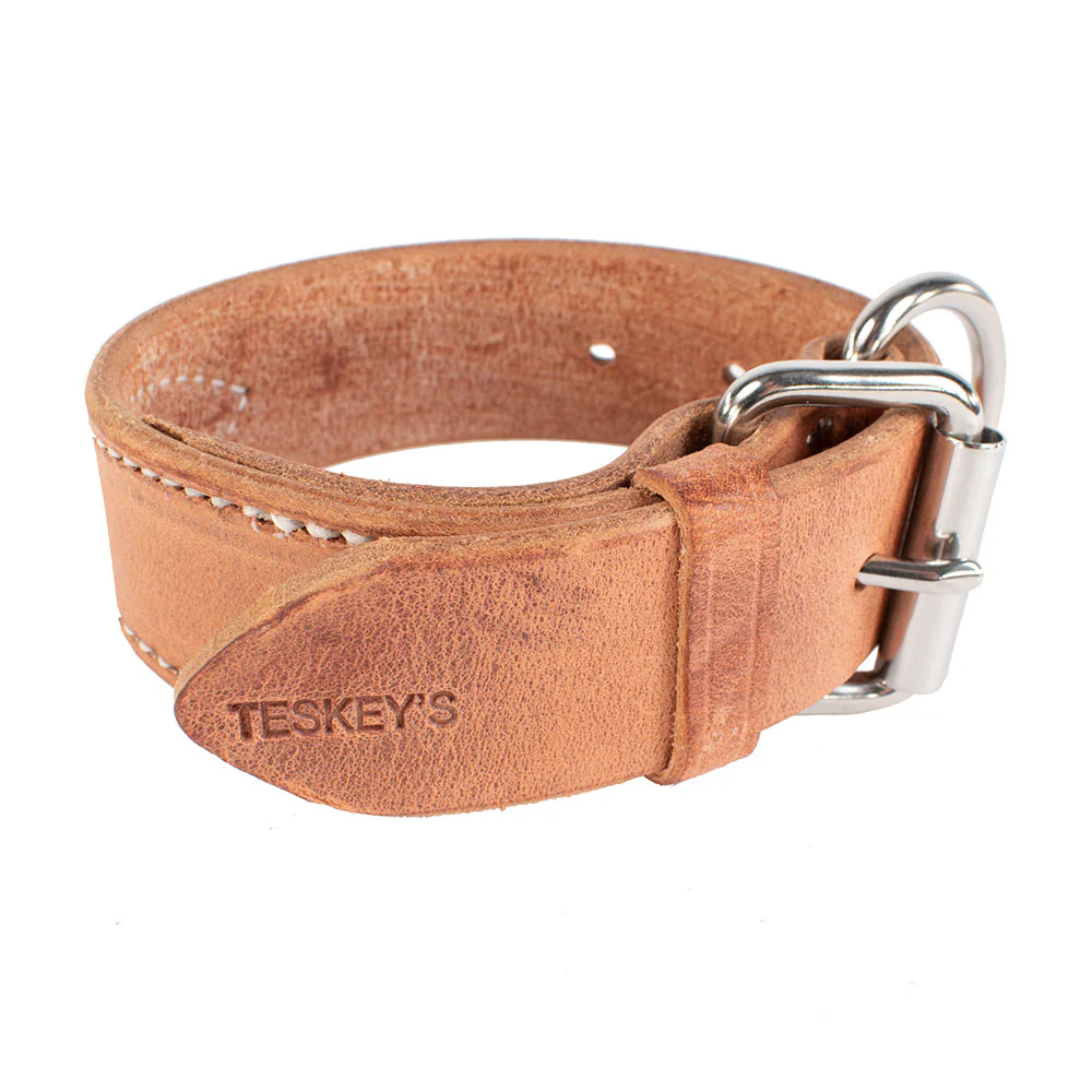 Teskey's 1-1/2" Single Hobble w/Buckle