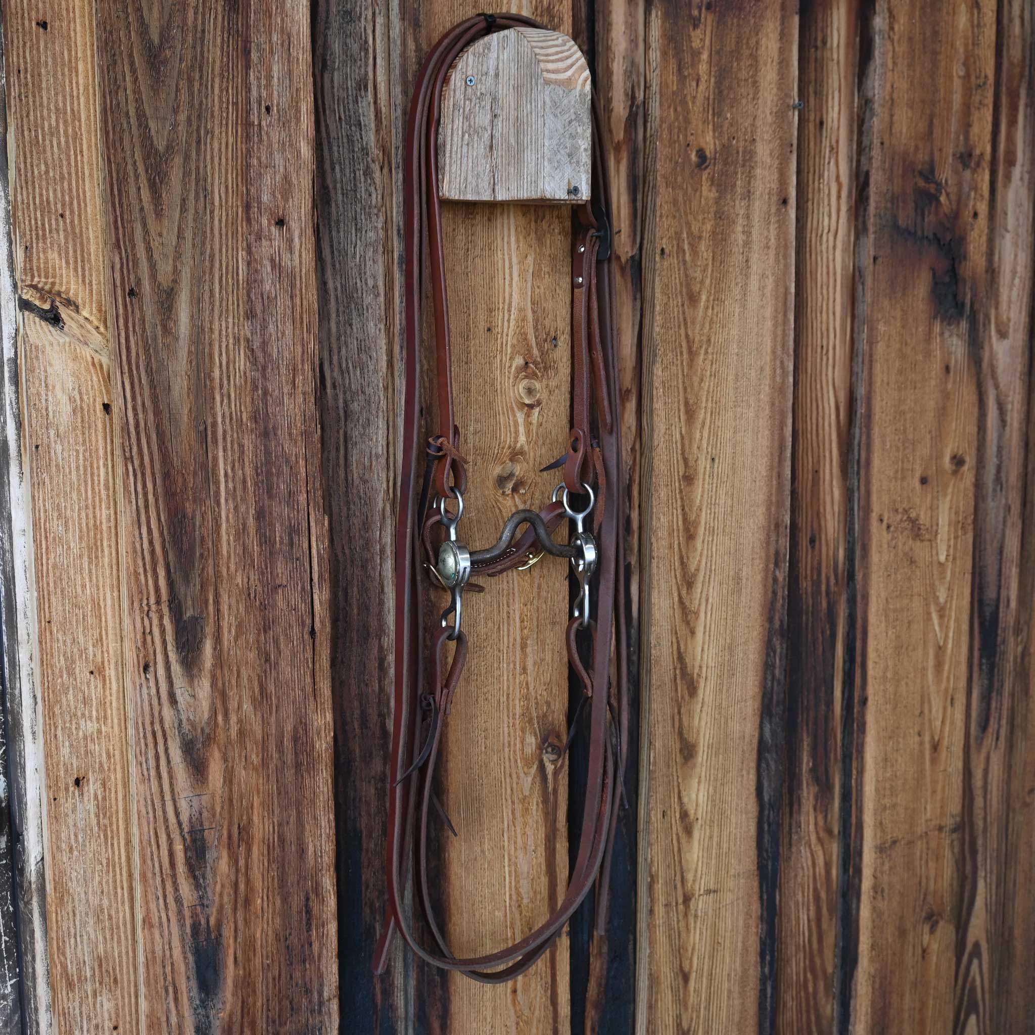 Trammell Solid Port Bridle Rig w/Split Ear Headstall - Image 5