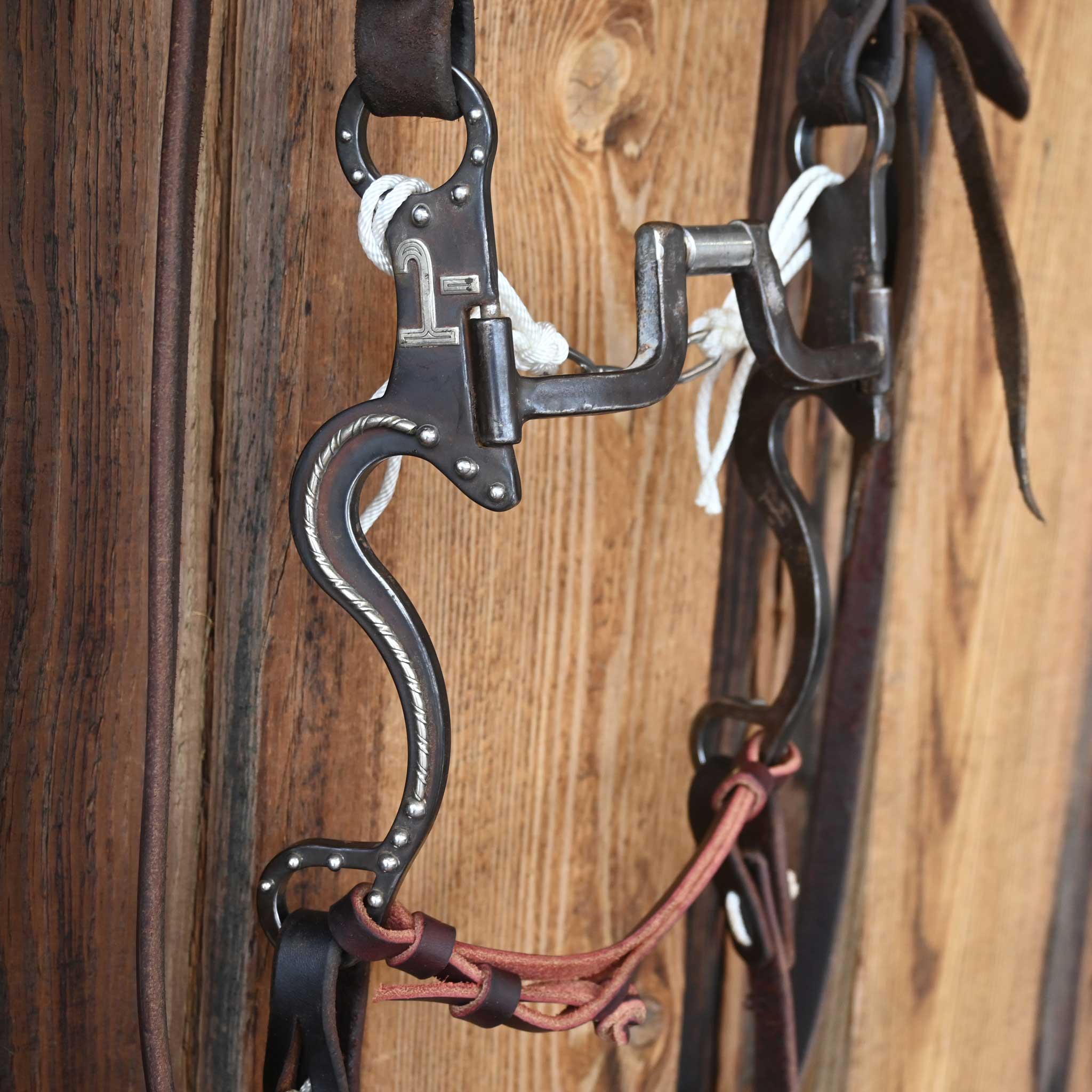 Tristan Mahoney Hinge Port Bridle Rig w/Casey Tew Leather
