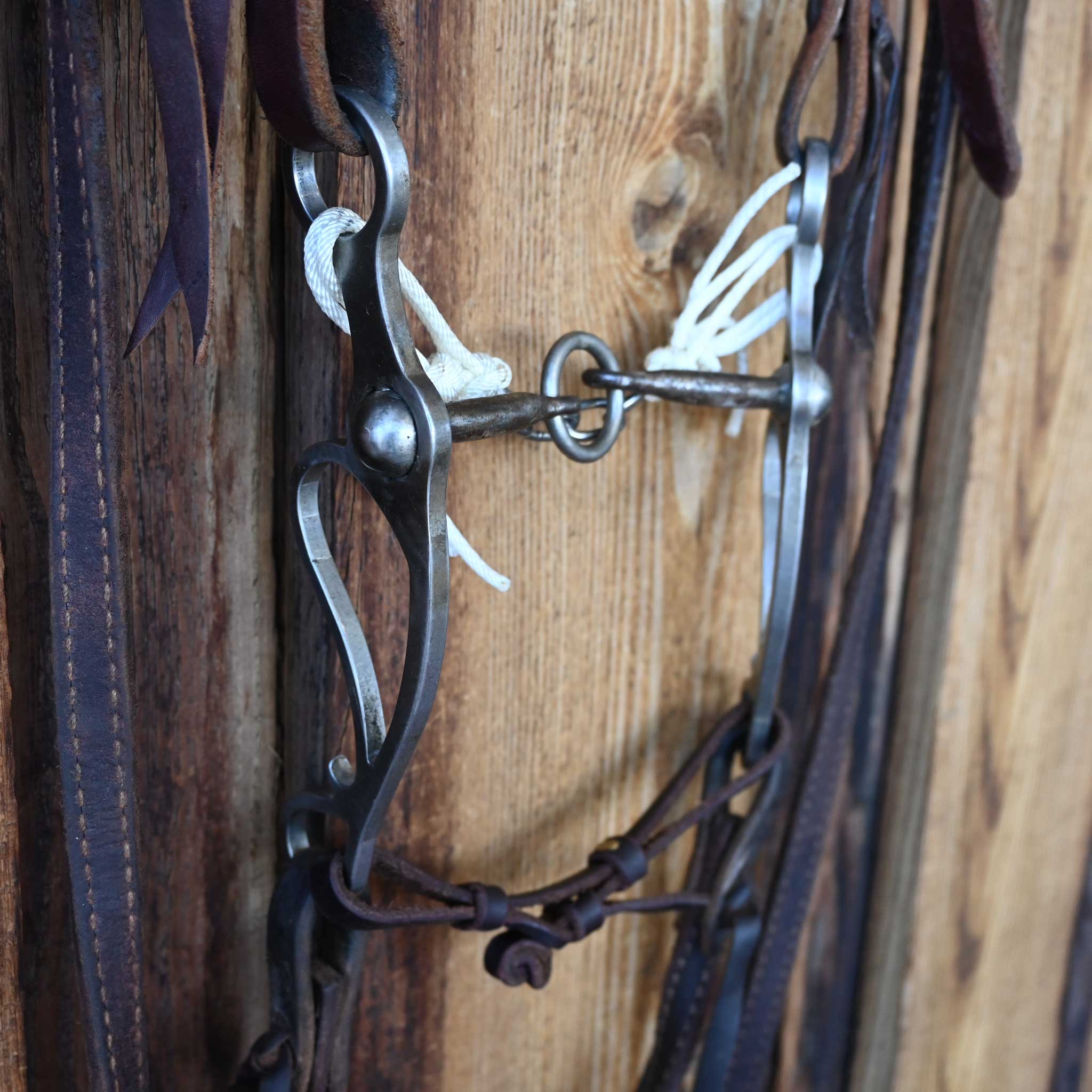 Tristan Mahoney Lifesaver Bridle Rig w/Single Ear Headstall