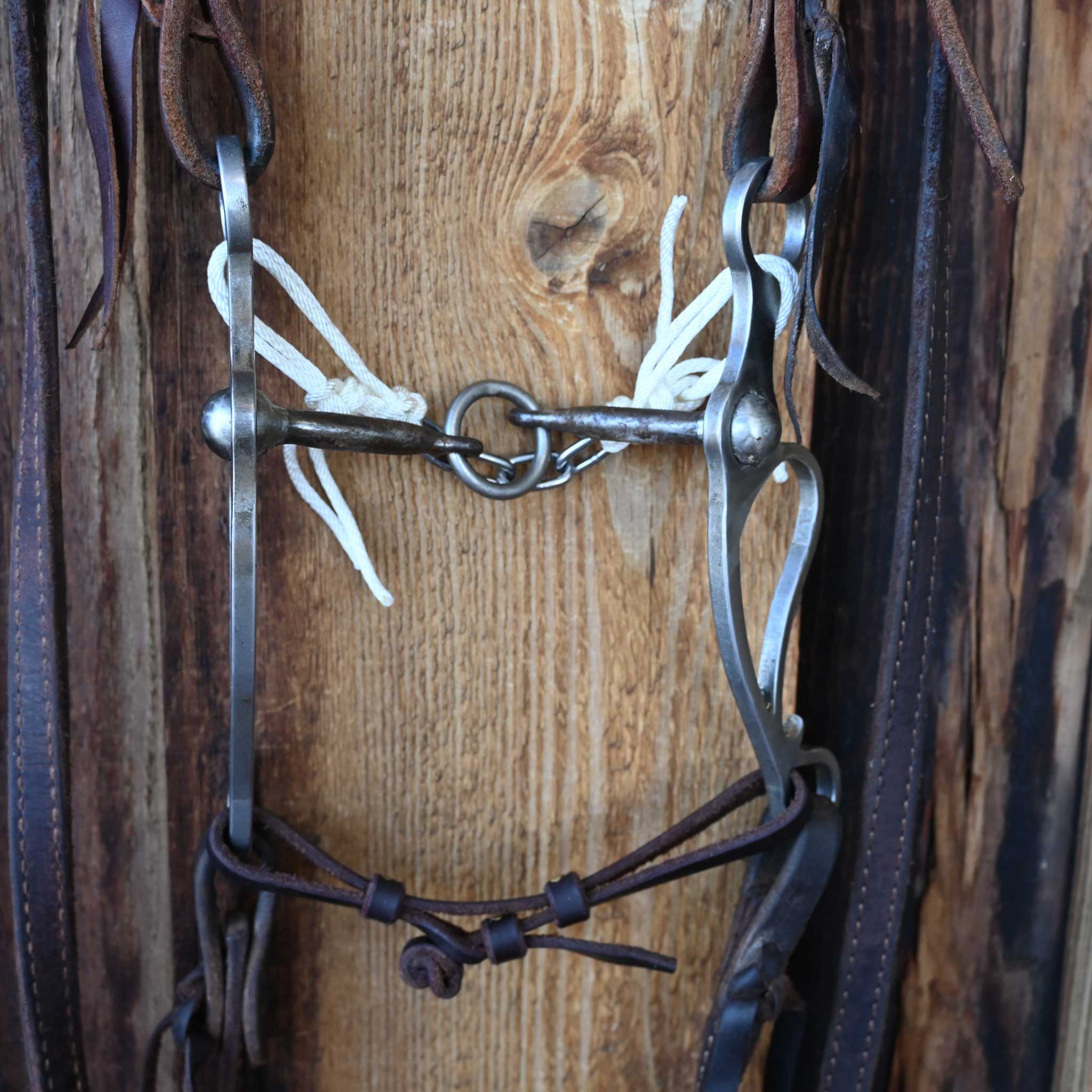 Tristan Mahoney Lifesaver Bridle Rig w/Single Ear Headstall - Image 2
