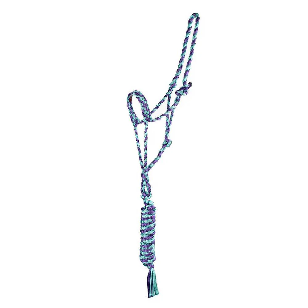 Trophy Bronc Nose Nylon Halter #31 - Image 7