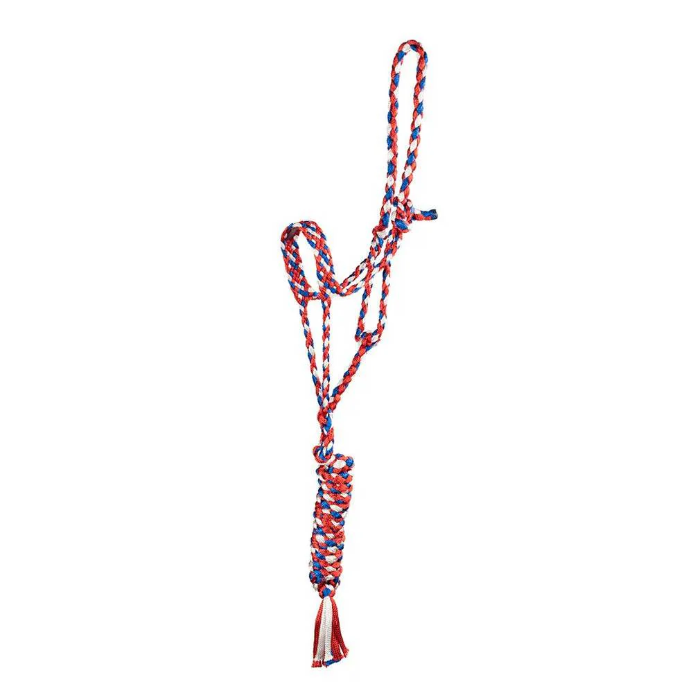 Trophy Bronc Nose Nylon Halter #31 - Image 8